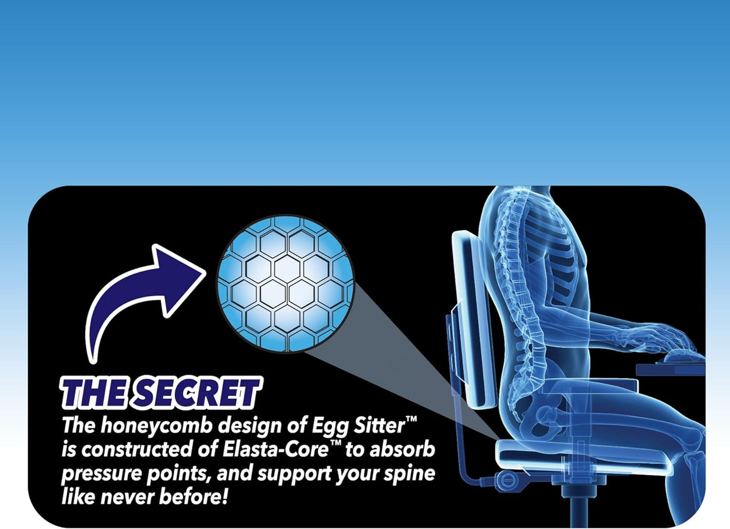 Cojín de Asiento Egg Sitter con Funda Antideslizante - Diseño Transpirable y Alivio de Presión